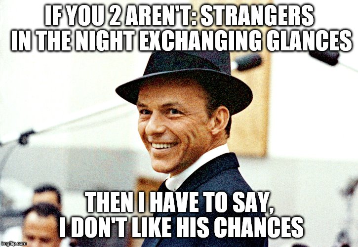 IF YOU 2 AREN'T: STRANGERS IN THE NIGHT EXCHANGING GLANCES THEN I HAVE TO SAY, I DON'T LIKE HIS CHANCES | made w/ Imgflip meme maker