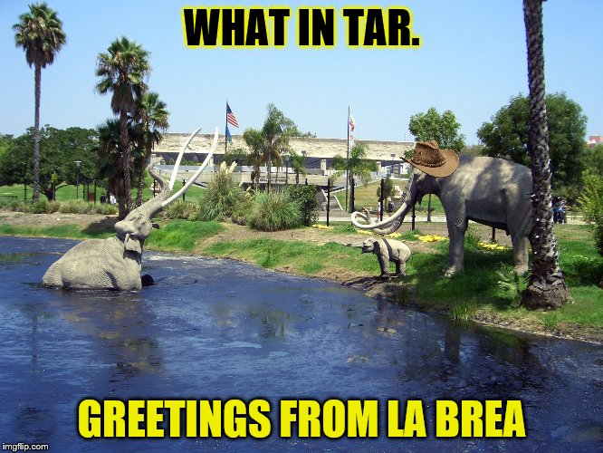 WHAT IN TAR. GREETINGS FROM LA BREA | image tagged in what in tarnation,memes | made w/ Imgflip meme maker