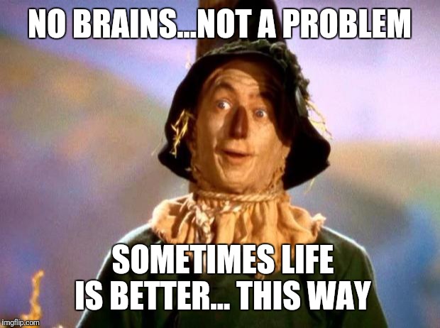 Brains! | NO BRAINS...NOT A PROBLEM; SOMETIMES LIFE IS BETTER... THIS WAY | image tagged in brains | made w/ Imgflip meme maker