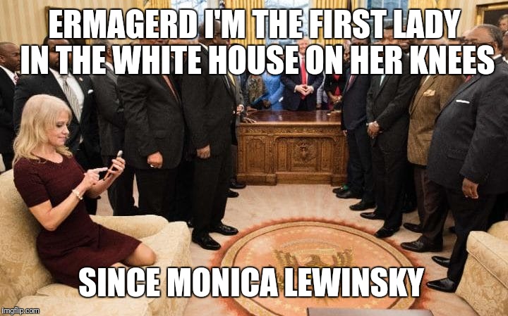 #professional  | ERMAGERD I'M THE FIRST LADY IN THE WHITE HOUSE ON HER KNEES; SINCE MONICA LEWINSKY | image tagged in memes,unbelievable,disappointed,how could he possibly fire a female after a womans march,remember how honest the clintons are | made w/ Imgflip meme maker