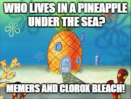 WHO LIVES IN A PINEAPPLE UNDER THE SEA? MEMERS AND CLOROX BLEACH! | image tagged in spongebob | made w/ Imgflip meme maker