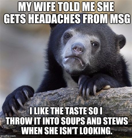 Confession Bear Meme | MY WIFE TOLD ME SHE GETS HEADACHES FROM MSG; I LIKE THE TASTE SO I THROW IT INTO SOUPS AND STEWS WHEN SHE ISN'T LOOKING. | image tagged in memes,confession bear | made w/ Imgflip meme maker