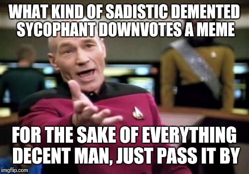 Picard Wtf Meme | WHAT KIND OF SADISTIC DEMENTED SYCOPHANT DOWNVOTES A MEME; FOR THE SAKE OF EVERYTHING DECENT MAN, JUST PASS IT BY | image tagged in memes,picard wtf | made w/ Imgflip meme maker