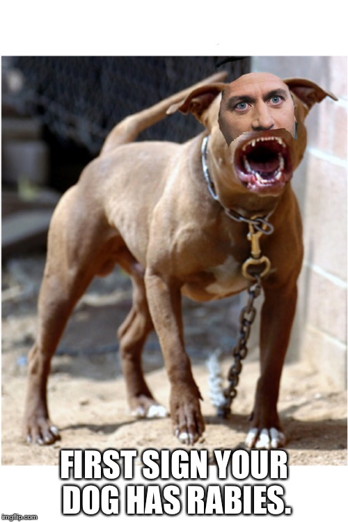 Sick em Paul Ryan | FIRST SIGN YOUR DOG HAS RABIES. | image tagged in sick em paul ryan | made w/ Imgflip meme maker