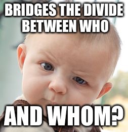Skeptical Baby Meme | BRIDGES THE DIVIDE BETWEEN WHO AND WHOM? | image tagged in memes,skeptical baby | made w/ Imgflip meme maker