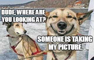 Original Stoner Dog | DUDE, WHERE ARE YOU LOOKING AT? SOMEONE IS TAKING MY PICTURE. | image tagged in memes,original stoner dog | made w/ Imgflip meme maker