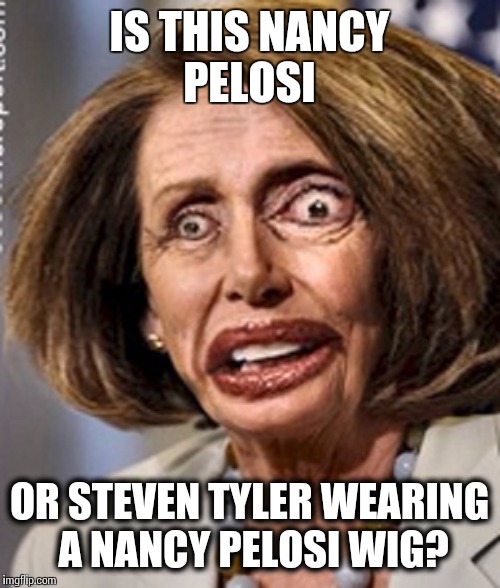 Nancy Tyler / Steven Pelosi ? | IS THIS NANCY PELOSI; OR STEVEN TYLER WEARING A NANCY PELOSI WIG? | image tagged in memes | made w/ Imgflip meme maker