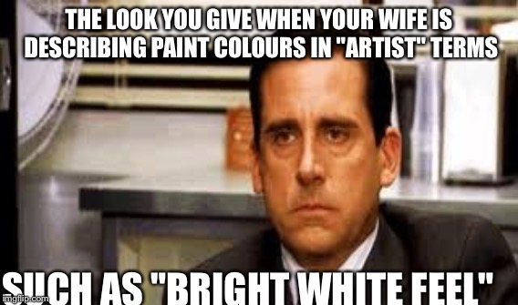 Husbands face  | THE LOOK YOU GIVE WHEN YOUR WIFE IS DESCRIBING PAINT COLOURS IN "ARTIST" TERMS; SUCH AS "BRIGHT WHITE FEEL" | image tagged in paint,bad luck brian | made w/ Imgflip meme maker