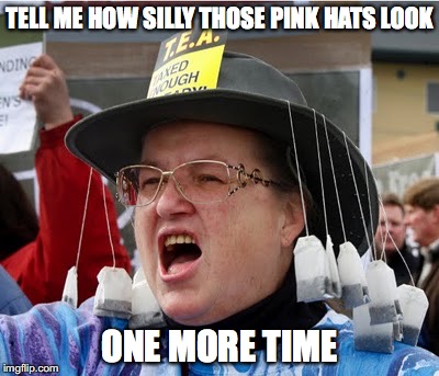 I rest my case | TELL ME HOW SILLY THOSE PINK HATS LOOK; ONE MORE TIME | image tagged in women's march,tea party,donald trump,hypocrisy | made w/ Imgflip meme maker