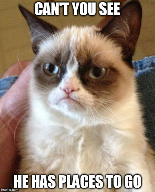 Grumpy Cat Meme | CAN'T YOU SEE HE HAS PLACES TO GO | image tagged in memes,grumpy cat | made w/ Imgflip meme maker