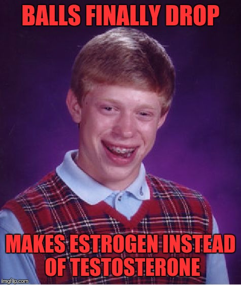 Bad Luck Brian | BALLS FINALLY DROP; MAKES ESTROGEN INSTEAD OF TESTOSTERONE | image tagged in memes,bad luck brian | made w/ Imgflip meme maker