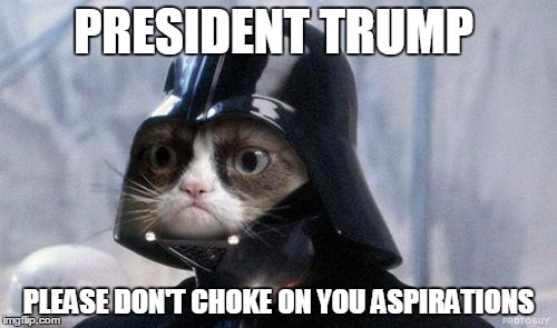 Grumpy Cat Star Wars Meme | PRESIDENT TRUMP; PLEASE DON'T CHOKE ON YOU ASPIRATIONS | image tagged in memes,grumpy cat star wars,grumpy cat | made w/ Imgflip meme maker