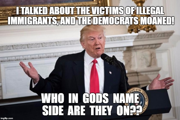 Congressional Address | I TALKED ABOUT THE VICTIMS OF ILLEGAL IMMIGRANTS, AND THE DEMOCRATS MOANED! WHO  IN  GODS  NAME  SIDE  ARE  THEY  ON?? | image tagged in moaning,fools | made w/ Imgflip meme maker