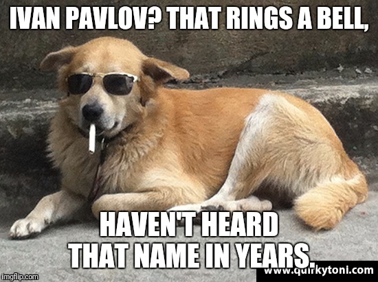 smoking dog | IVAN PAVLOV? THAT RINGS A BELL, HAVEN'T HEARD THAT NAME IN YEARS. | image tagged in smoking dog | made w/ Imgflip meme maker