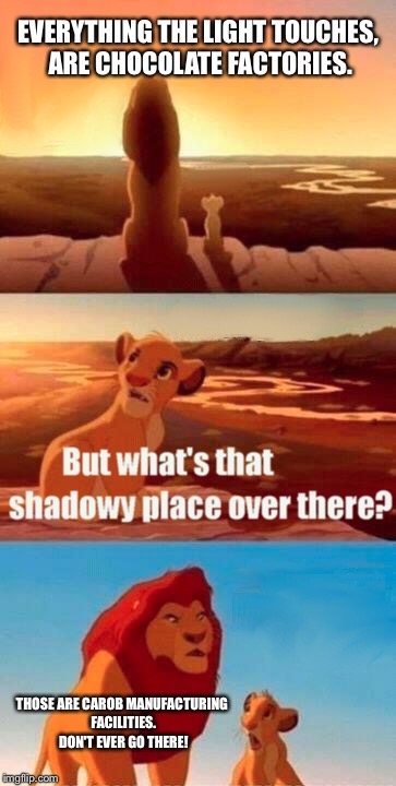 Simba viewing his kingdom............. | EVERYTHING THE LIGHT TOUCHES, ARE CHOCOLATE FACTORIES. THOSE ARE CAROB MANUFACTURING FACILITIES. DON'T EVER GO THERE! | image tagged in memes,simba shadowy place | made w/ Imgflip meme maker