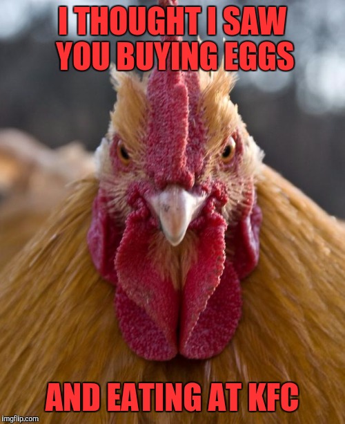 Angry Chicken | I THOUGHT I SAW YOU BUYING EGGS; AND EATING AT KFC | image tagged in angry chicken,memes | made w/ Imgflip meme maker
