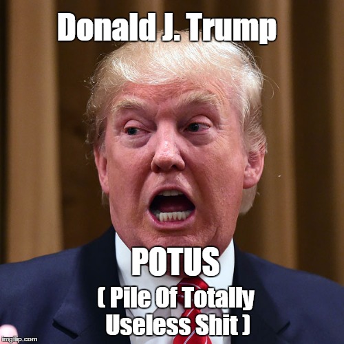 POTUS | Donald J. Trump; POTUS; ( Pile Of Totally Useless Shit ) | image tagged in trump,potus,shit | made w/ Imgflip meme maker