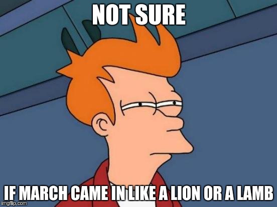 Futurama Fry | NOT SURE; IF MARCH CAME IN LIKE A LION OR A LAMB | image tagged in memes,futurama fry | made w/ Imgflip meme maker
