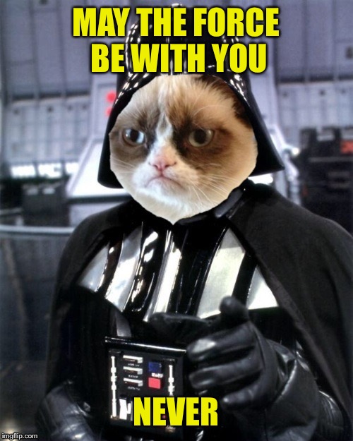 Dearth Vader grumpy cat | MAY THE FORCE BE WITH YOU; NEVER | image tagged in dearth vader grumpy cat | made w/ Imgflip meme maker