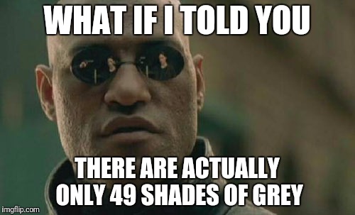 Matrix Morpheus | WHAT IF I TOLD YOU; THERE ARE ACTUALLY ONLY 49 SHADES OF GREY | image tagged in memes,matrix morpheus | made w/ Imgflip meme maker