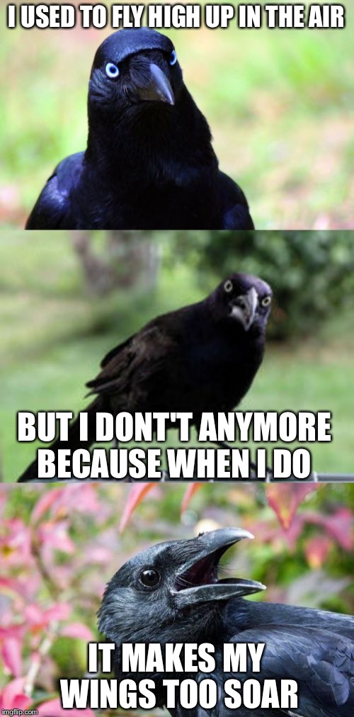 bad pun crow | I USED TO FLY HIGH UP IN THE AIR; BUT I DONT'T ANYMORE BECAUSE WHEN I DO; IT MAKES MY WINGS TOO SOAR | image tagged in bad pun crow,memes | made w/ Imgflip meme maker