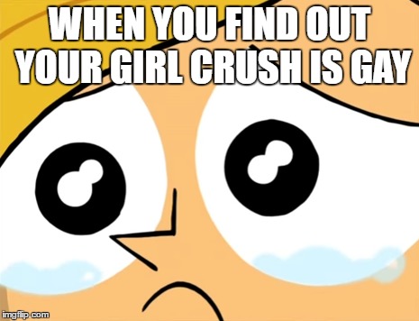 When You Find Out... | WHEN YOU FIND OUT YOUR GIRL CRUSH IS GAY | image tagged in disappointment,gay,cartoon,cartoon network | made w/ Imgflip meme maker