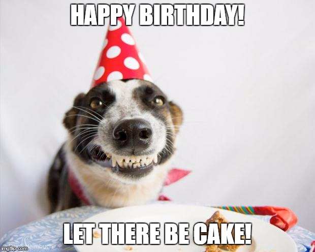 birthday dog | HAPPY BIRTHDAY! LET THERE BE CAKE! | image tagged in birthday dog | made w/ Imgflip meme maker