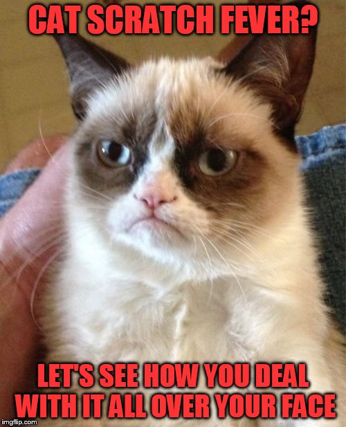 Cat Scratch Fever | CAT SCRATCH FEVER? LET'S SEE HOW YOU DEAL WITH IT ALL OVER YOUR FACE | image tagged in memes,grumpy cat | made w/ Imgflip meme maker