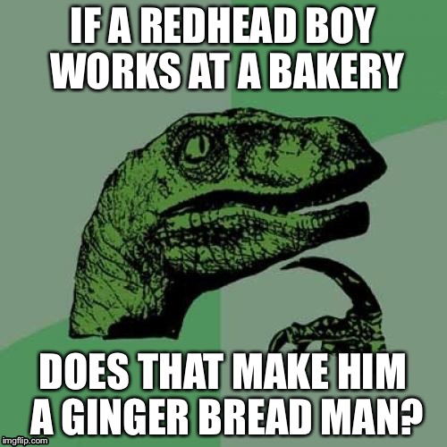 Philosoraptor | IF A REDHEAD BOY WORKS AT A BAKERY; DOES THAT MAKE HIM A GINGER BREAD MAN? | image tagged in memes,philosoraptor | made w/ Imgflip meme maker