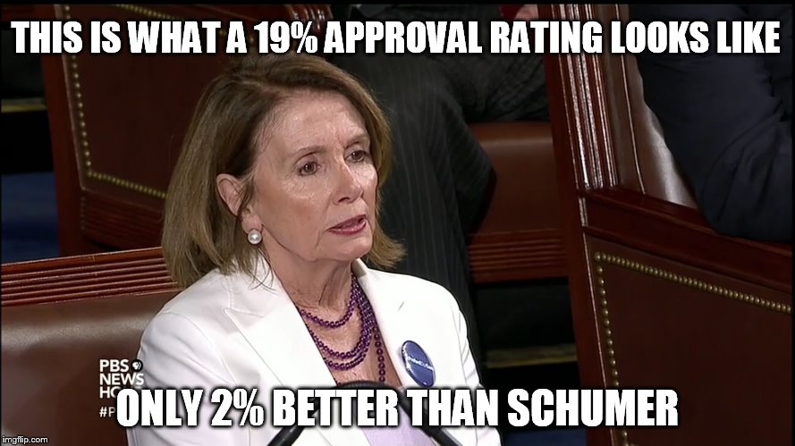 Pelosi Approval  |  THIS IS WHAT A 19% APPROVAL RATING LOOKS LIKE; ONLY 2% BETTER THAN SCHUMER | image tagged in pelosi sad,pelosi,schumer | made w/ Imgflip meme maker