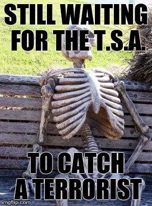 Waiting Skeleton | STILL WAITING FOR THE T.S.A. TO CATCH A TERRORIST | image tagged in memes,waiting skeleton | made w/ Imgflip meme maker