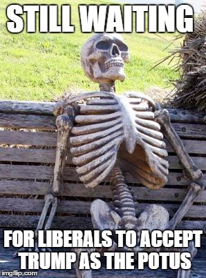 Waiting Skeleton | STILL WAITING; FOR LIBERALS TO ACCEPT TRUMP AS THE POTUS | image tagged in memes,waiting skeleton | made w/ Imgflip meme maker