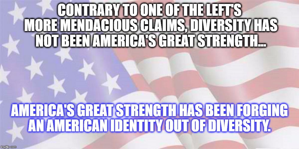 Faded American Flag | CONTRARY TO ONE OF THE LEFT'S MORE MENDACIOUS CLAIMS, DIVERSITY HAS NOT BEEN AMERICA'S GREAT STRENGTH... AMERICA'S GREAT STRENGTH HAS BEEN FORGING AN AMERICAN IDENTITY OUT OF DIVERSITY. | image tagged in faded american flag | made w/ Imgflip meme maker