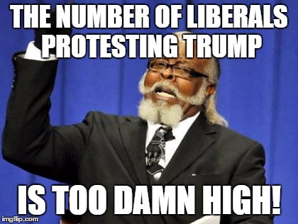 Too Damn High Meme | THE NUMBER OF LIBERALS PROTESTING TRUMP; IS TOO DAMN HIGH! | image tagged in memes,too damn high | made w/ Imgflip meme maker
