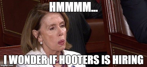 Pelosi Beauty/Beast | HMMMM... I WONDER IF HOOTERS IS HIRING | image tagged in democrats,nancy pelosi,failure,sore loser,special kind of stupid | made w/ Imgflip meme maker