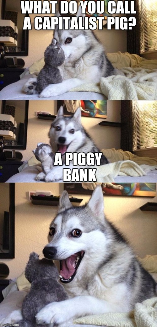 Bad Joke Dog | WHAT DO YOU CALL A CAPITALIST PIG? A PIGGY BANK | image tagged in bad joke dog | made w/ Imgflip meme maker