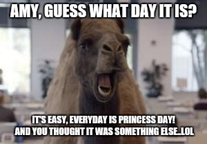 Hump Day Camel | AMY, GUESS WHAT DAY IT IS? IT'S EASY, EVERYDAY IS PRINCESS DAY! AND YOU THOUGHT IT WAS SOMETHING ELSE..LOL | image tagged in hump day camel | made w/ Imgflip meme maker