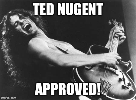 Ted Nugent | TED NUGENT APPROVED! | image tagged in ted nugent | made w/ Imgflip meme maker