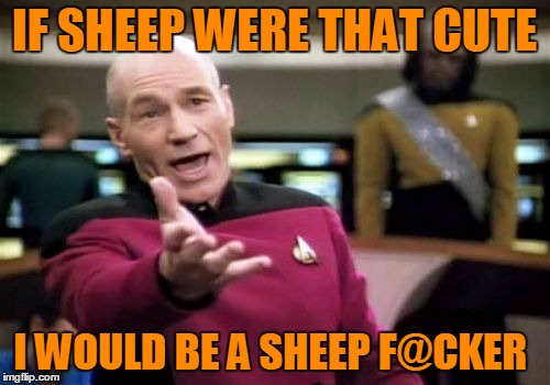 Picard Wtf Meme | IF SHEEP WERE THAT CUTE I WOULD BE A SHEEP F@CKER | image tagged in memes,picard wtf | made w/ Imgflip meme maker