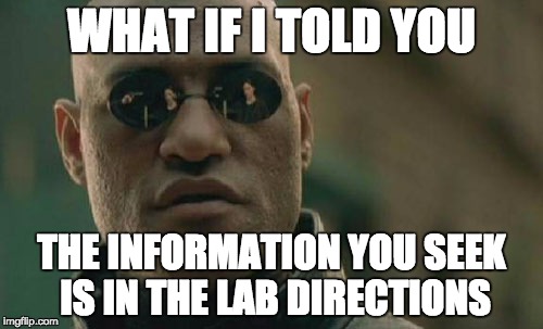 Matrix Morpheus Meme | WHAT IF I TOLD YOU; THE INFORMATION YOU SEEK IS IN THE LAB DIRECTIONS | image tagged in memes,matrix morpheus | made w/ Imgflip meme maker