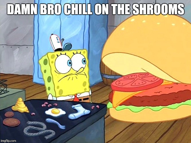 sponge bob talking to krabby patty | DAMN BRO CHILL ON THE SHROOMS | image tagged in sponge bob talking to krabby patty | made w/ Imgflip meme maker