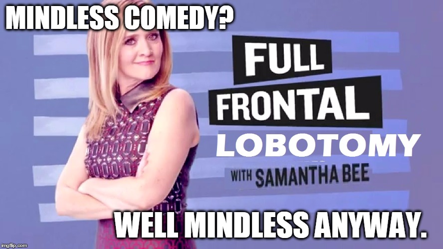 #SamanthaBee #SamanthaBeeQuiet #FullFrontal #FullFrontalLobotomy | MINDLESS COMEDY? WELL MINDLESS ANYWAY. | image tagged in samantha bee,tbs,full frontal | made w/ Imgflip meme maker