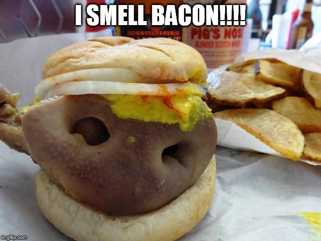 I SMELL BACON!!!! | image tagged in pig | made w/ Imgflip meme maker