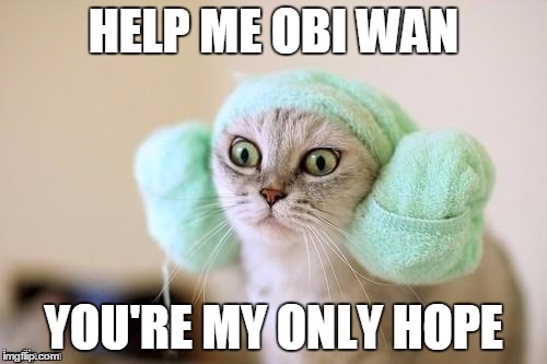 Princess LeiaCat | HELP ME OBI WAN; YOU'RE MY ONLY HOPE | image tagged in princess leiacat | made w/ Imgflip meme maker