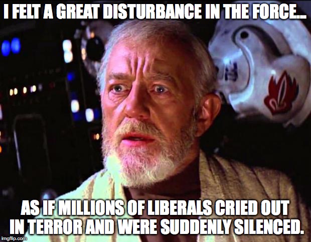 Crying Liberals |  I FELT A GREAT DISTURBANCE IN THE FORCE... AS IF MILLIONS OF LIBERALS CRIED OUT IN TERROR AND WERE SUDDENLY SILENCED. | image tagged in liberals,democrats,idiots,trump,donald trump,my president | made w/ Imgflip meme maker