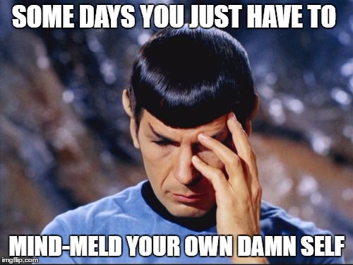 SOME DAYS YOU JUST HAVE TO; MIND-MELD YOUR OWN DAMN SELF | image tagged in vulcan mind meld | made w/ Imgflip meme maker