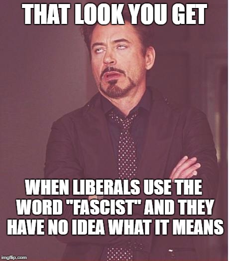 Face You Make Robert Downey Jr Meme | THAT LOOK YOU GET; WHEN LIBERALS USE THE WORD "FASCIST" AND THEY HAVE NO IDEA WHAT IT MEANS | image tagged in memes,face you make robert downey jr | made w/ Imgflip meme maker