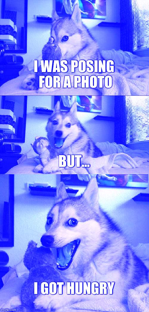 Bad Pun Dog | I WAS POSING FOR A PHOTO; BUT... I GOT HUNGRY | image tagged in memes,bad pun dog | made w/ Imgflip meme maker