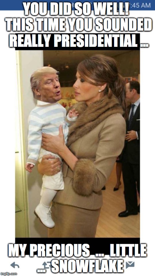 trump baby | YOU DID SO WELL!  THIS TIME YOU SOUNDED REALLY PRESIDENTIAL ... MY PRECIOUS  …  LITTLE  ...  SNOWFLAKE | image tagged in trump baby | made w/ Imgflip meme maker