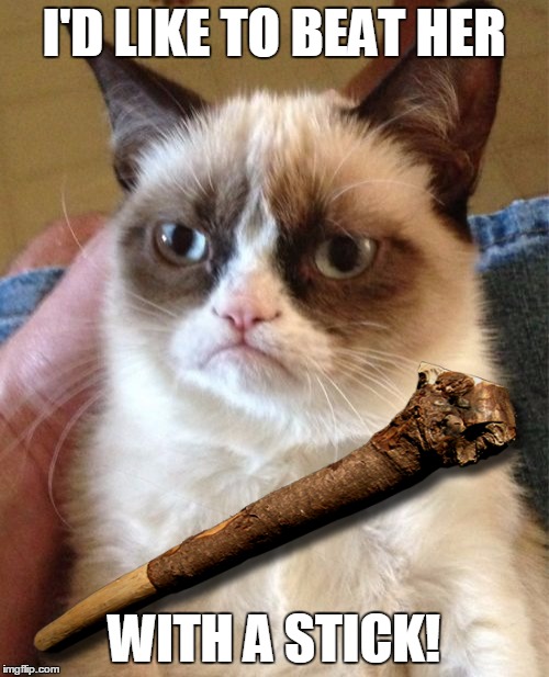 Grumpy Cat Meme | I'D LIKE TO BEAT HER WITH A STICK! | image tagged in memes,grumpy cat | made w/ Imgflip meme maker
